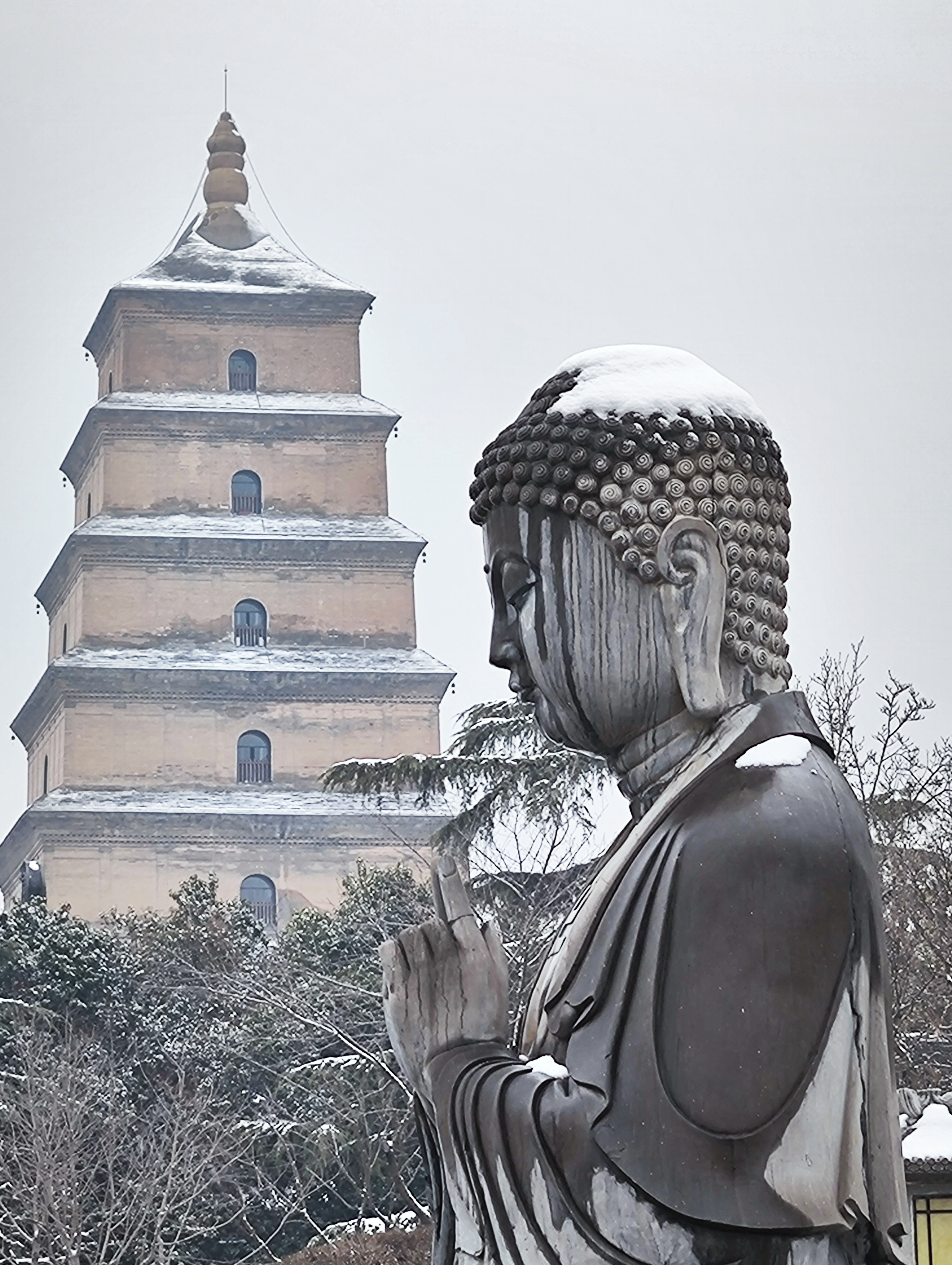 【小雪】贫僧洗头用飘柔